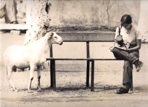 Aurora Luna Villanueva 13