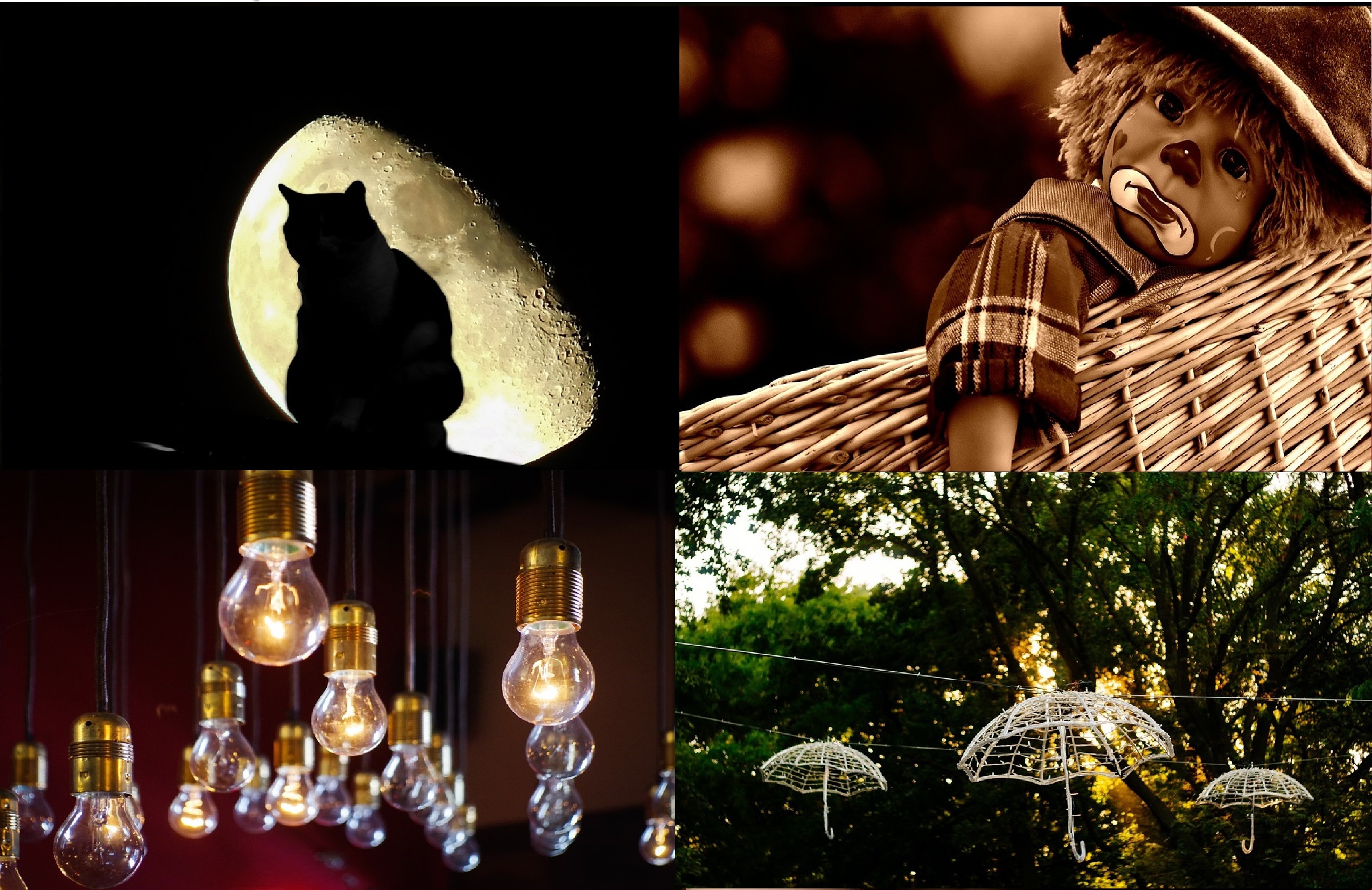 Talleres y cursos presenciales en Valencia